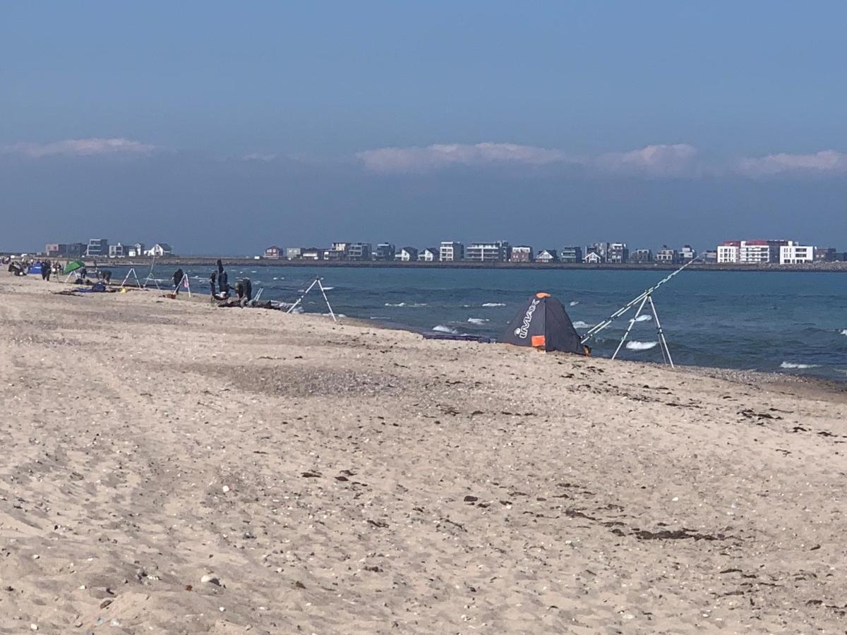 Segelund - Zeit Fuer Uns- Ruhige Und Sonnige Ferienwohnung Mit Terrasse Und Garten Nahe Strand Und Ostsee Schönhagen エクステリア 写真