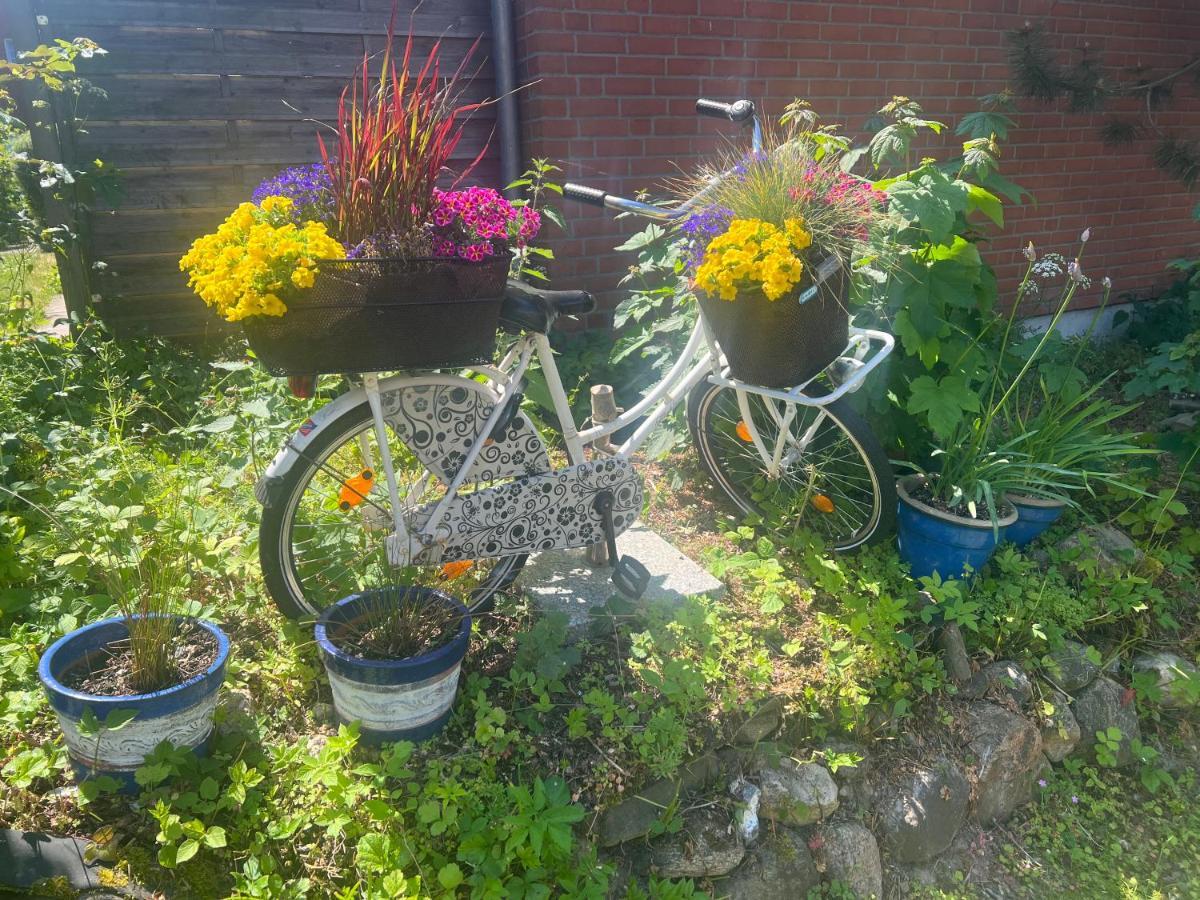 Segelund - Zeit Fuer Uns- Ruhige Und Sonnige Ferienwohnung Mit Terrasse Und Garten Nahe Strand Und Ostsee Schönhagen エクステリア 写真